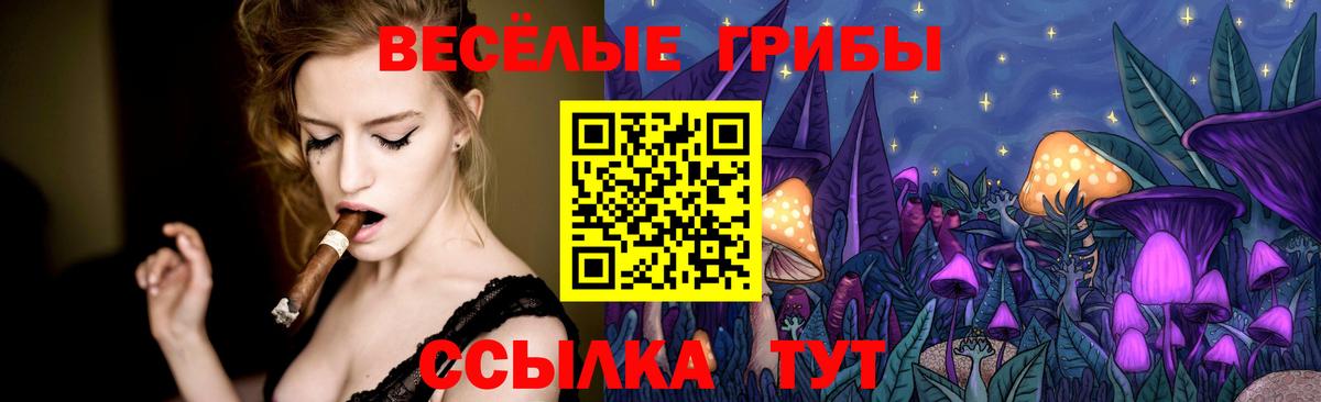 купить наркоту  Псилоцибиновые грибы GOLDEN TEACHER  Вход с VPN  Тула 